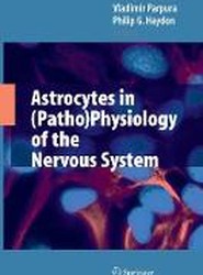 Astrocytes in (Patho)Physiology of the Nervous System