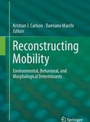 Reconstructing Mobility