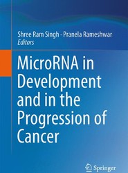 MicroRNA in Development and in the Progression of Cancer