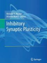 Inhibitory Synaptic Plasticity