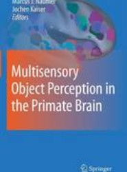 Multisensory Object Perception in the Primate Brain