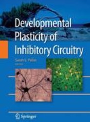 Developmental Plasticity of Inhibitory Circuitry
