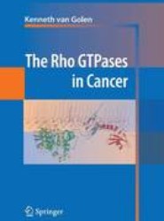 The Rho GTPases in Cancer