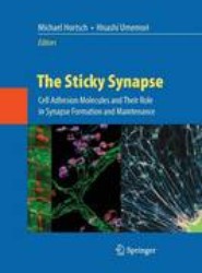 The Sticky Synapse