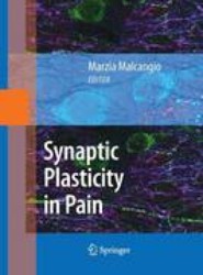 Synaptic Plasticity in Pain