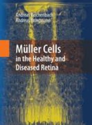 Muller Cells in the Healthy and Diseased Retina