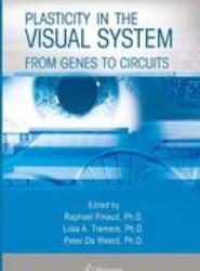 Plasticity in the Visual System