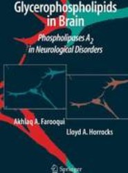 Glycerophospholipids in the Brain