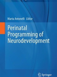 Perinatal Programming of Neurodevelopment