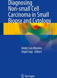 Diagnosing Non-small Cell Carcinoma in Small Biopsy and Cytology