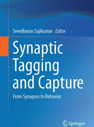 Synaptic Tagging and Capture