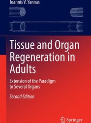 Tissue and Organ Regeneration in Adults