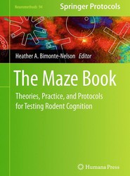 The Maze Book