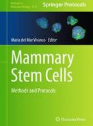 Mammary Stem Cells