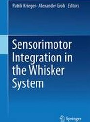 Sensorimotor Integration in the Whisker System