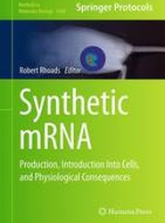 Synthetic mRNA