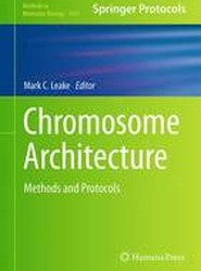 Chromosome Architecture