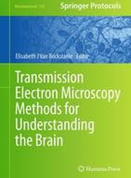 Transmission Electron Microscopy Methods for Understanding the Brain