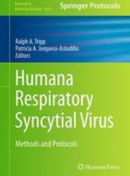 Human Respiratory Syncytial Virus