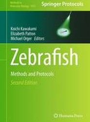 Zebrafish