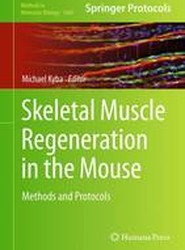 Skeletal Muscle Regeneration in the Mouse