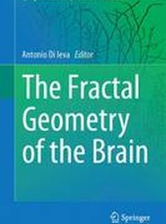 The Fractal Geometry of the Brain
