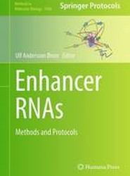 Enhancer RNAs