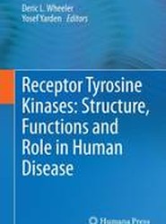 Receptor Tyrosine Kinases: Structure, Functions and Role in Human Disease