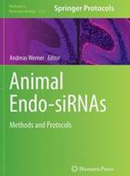 Animal Endo-SiRNAs