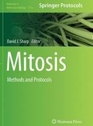 Mitosis