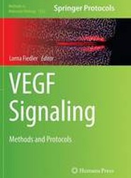 VEGF Signaling