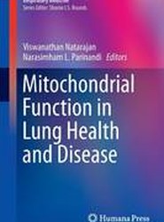 Mitochondrial Function in Lung Health and Disease