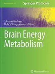 Brain Energy Metabolism
