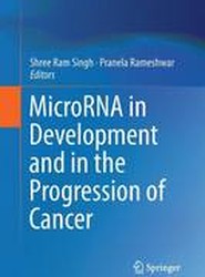 MicroRNA in Development and in the Progression of Cancer
