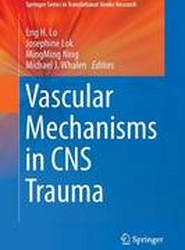 Vascular Mechanisms in CNS Trauma