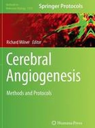 Cerebral Angiogenesis