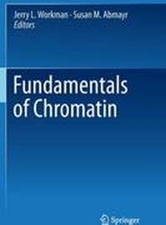 Fundamentals of Chromatin