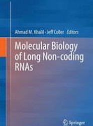 Molecular Biology of Long Non-coding RNAs
