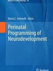 Perinatal Programming of Neurodevelopment
