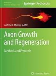 Axon Growth and Regeneration