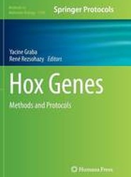 Hox Genes