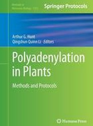 Polyadenylation in Plants