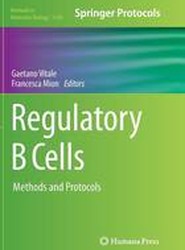 Regulatory B Cells