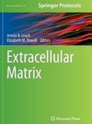 Extracellular Matrix