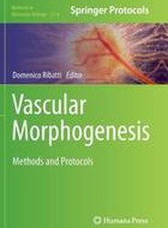 Vascular Morphogenesis
