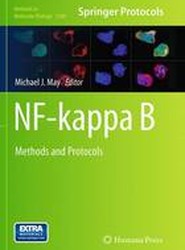 NF-kappa B