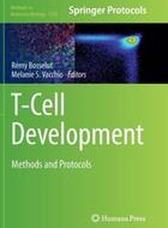 T-Cell Development