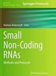 Small Non-Coding RNAs