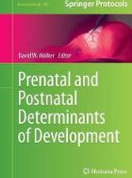 Prenatal and Postnatal Determinants of Development