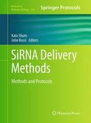 SiRNA Delivery Methods